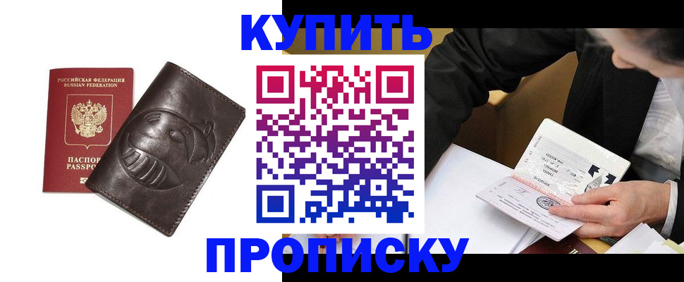 прописка для работы в Жукове